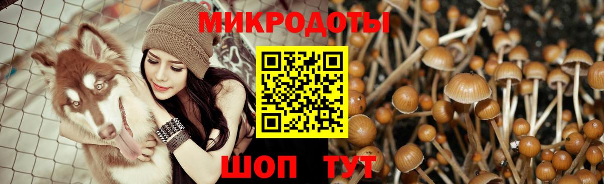 Родники  Псилоцибиновые грибы ЛСД  Вход с VPN 