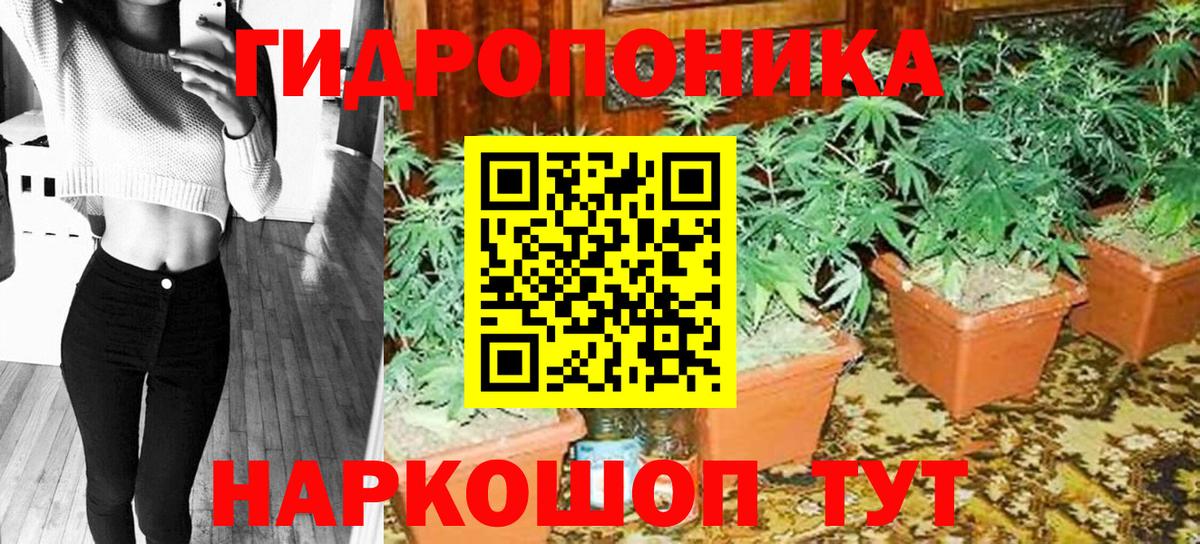 Родники  Канабис THC 21%  Вход с VPN  Марихуана OG Kush  Каннабис OG Kush  Шишки марихуана конопля 